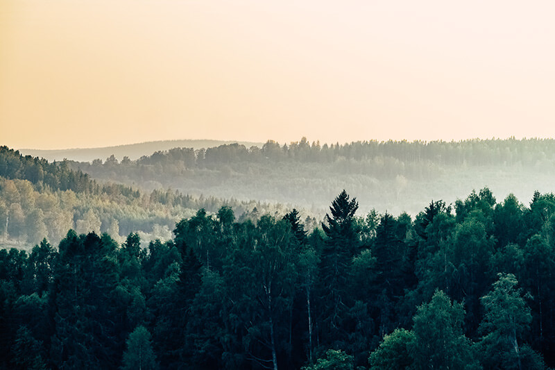 Sustainability committments